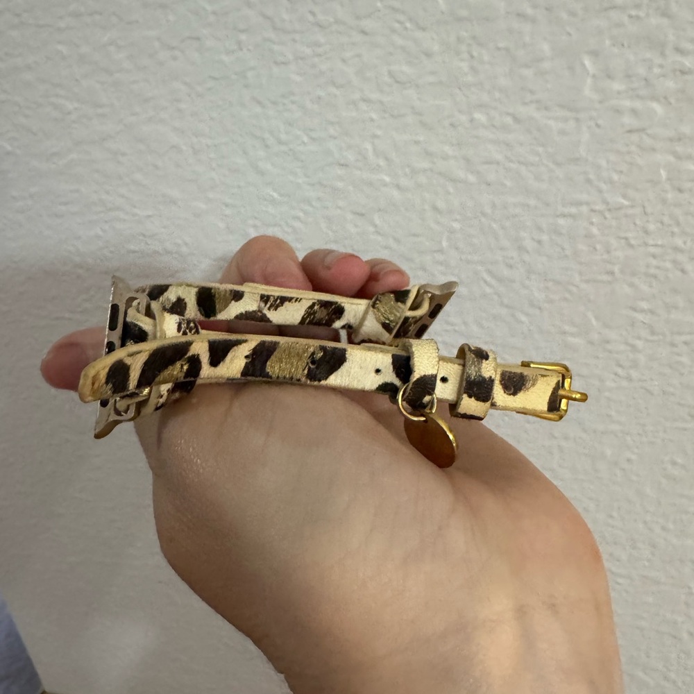 Apple Watch band